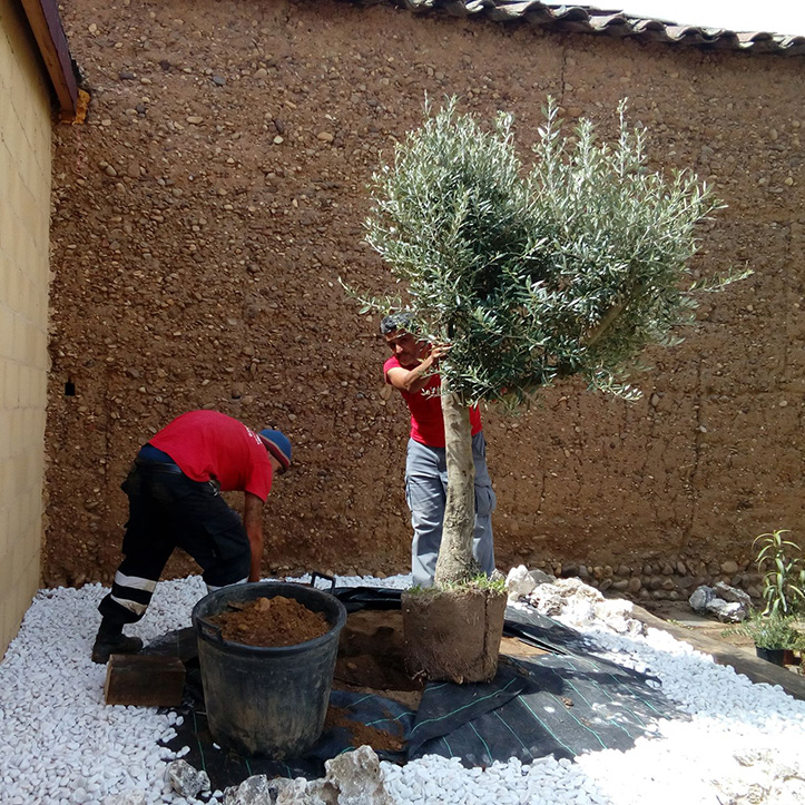 Jardinería Aldonza 7_ecoplant_aldonza aldonza-jardineria-cuad-004