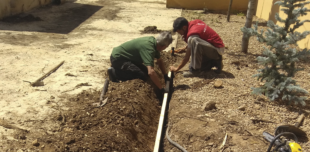 Aldonza-somos 2_ecoplant_aldonza aldonza-jardineria-reparacion-cesped2