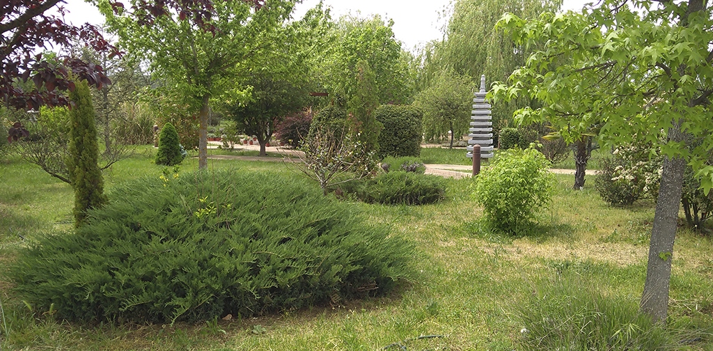 Diseño de Jardines 3_ecoplant_aldonza aldonza-jardineria-vivero-ecoplant-orbigo-diseño